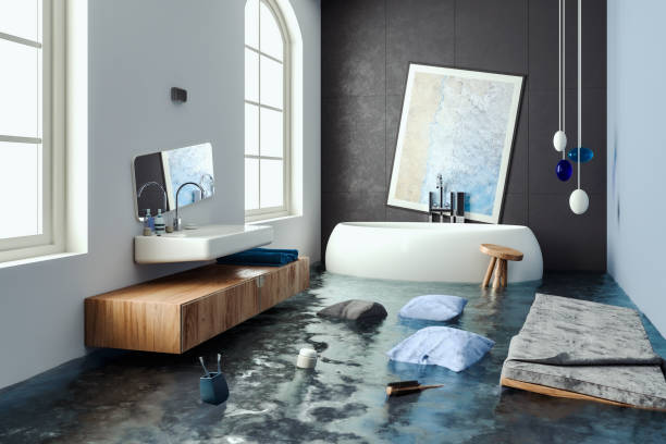 Best Water damage restoration process  in Crownsville, MD