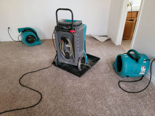 Best Carpet water damage restoration  in Crownsville, MD