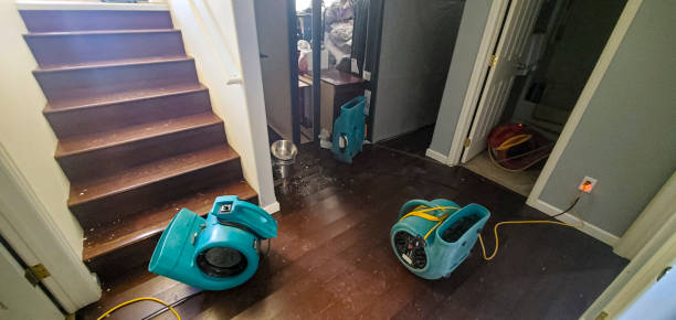 Best Mold removal after water damage  in Crownsville, MD