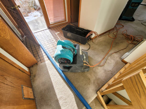 Reliable Crownsville, MD Water damage restoration Solutions