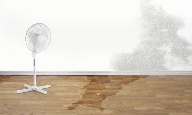 Best Water damage restoration near me  in Crownsville, MD