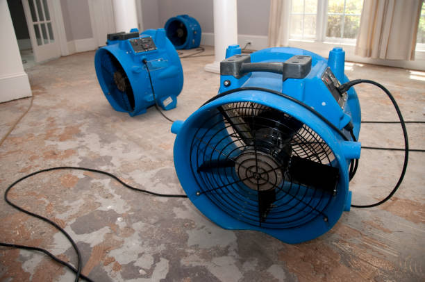 Best Commercial water damage restoration  in Crownsville, MD