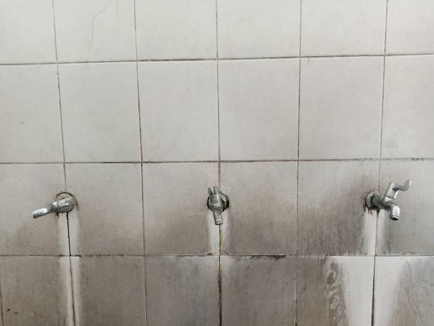 Best Basement water damage restoration  in Crownsville, MD