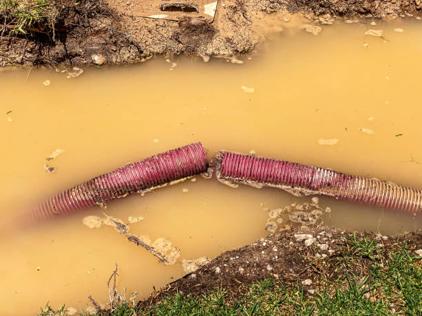 Water damage restoration process in Crownsville, MD